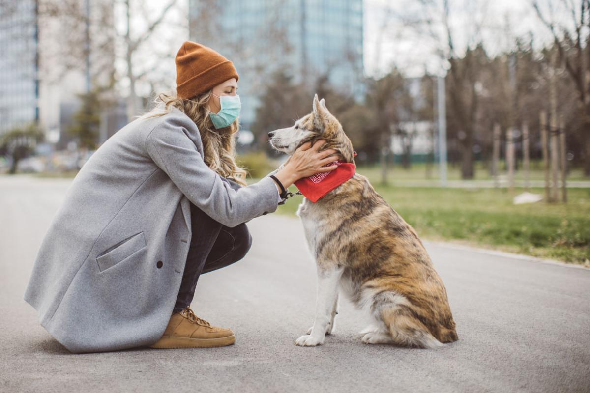 Person wearing a facemask and petting a dog