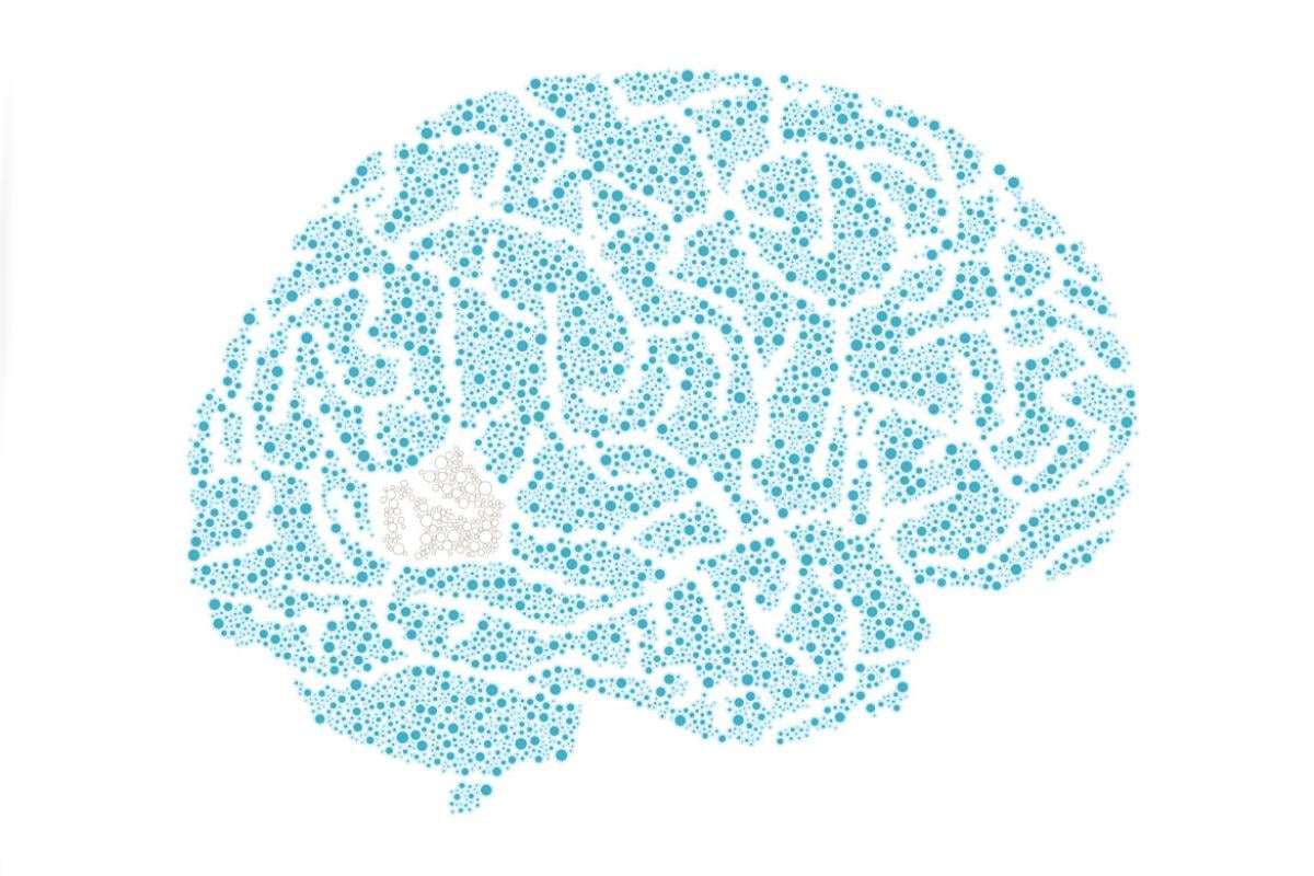 Illustration of the human brain created using light blue dots of various size against an all white background.
