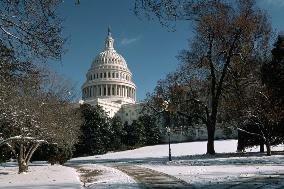 Bare trees on the snow covered grounds of the United States Capitol