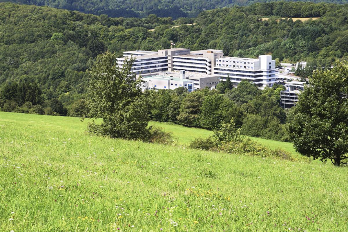 Public hospital building in forest valley