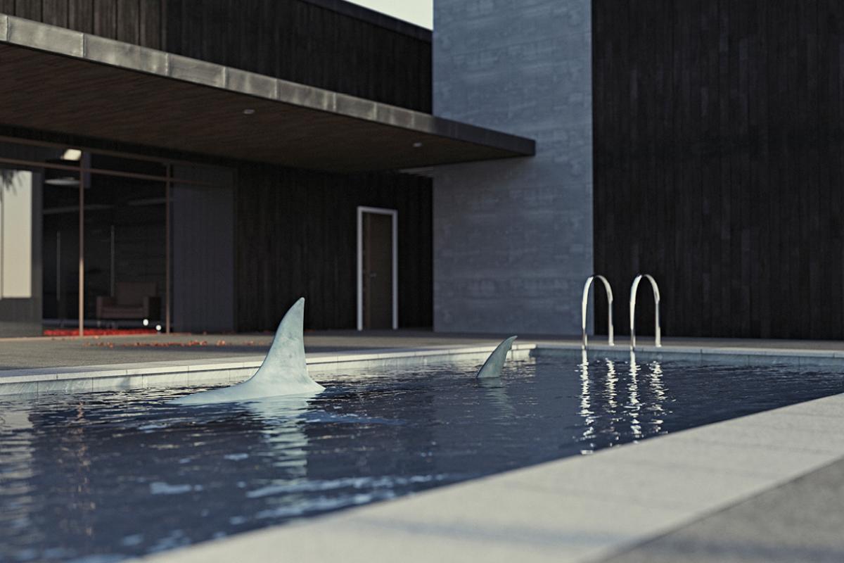Outdoor swimming pool with two visible sharkfins in the pool. 